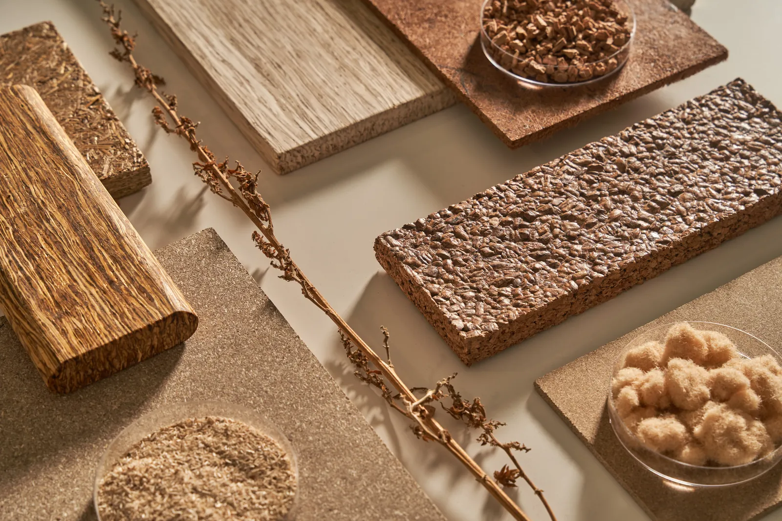 Natural wood materials and protein-based adhesive